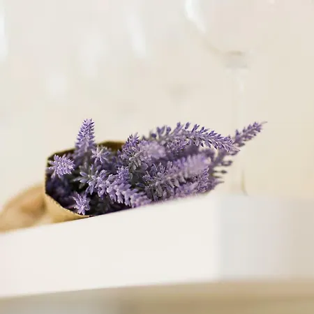 Old Town شقة هابسالو