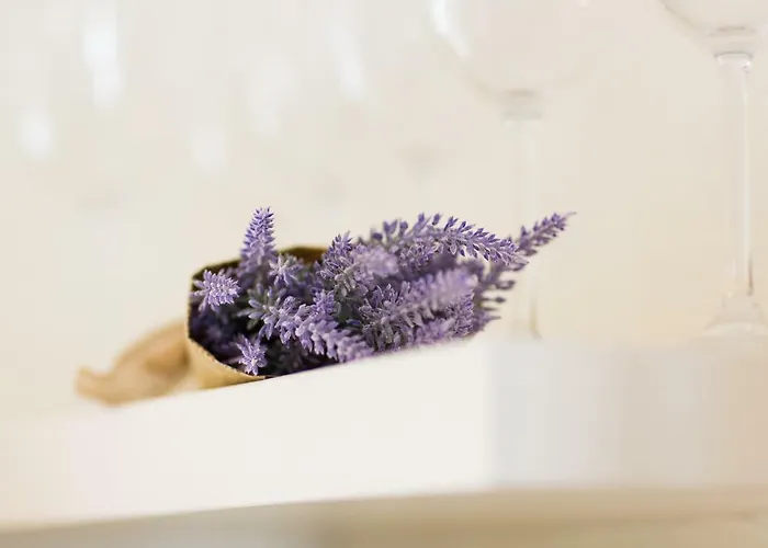 Old Town شقة هابسالو